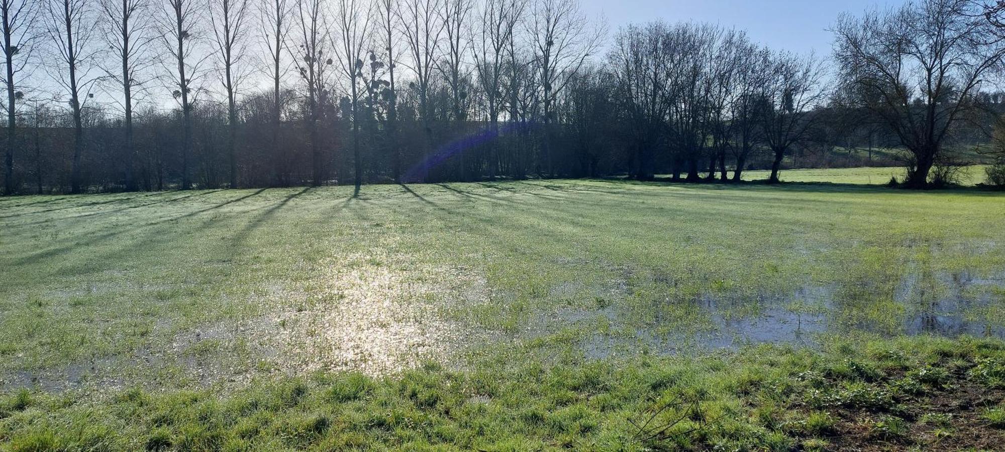 Au Grain D'Orge Villa Echire Bagian luar foto