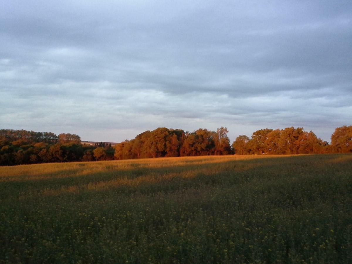 Au Grain D'Orge Villa Echire Bagian luar foto